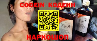 прущие грибы Камышлов