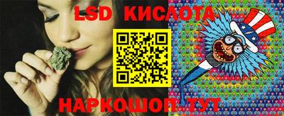 прущие грибы Камышлов