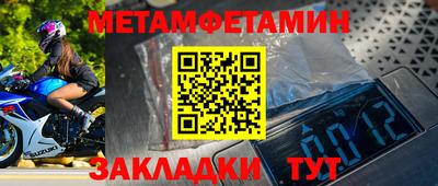 прущие грибы Камышлов