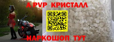 прущие грибы Камышлов