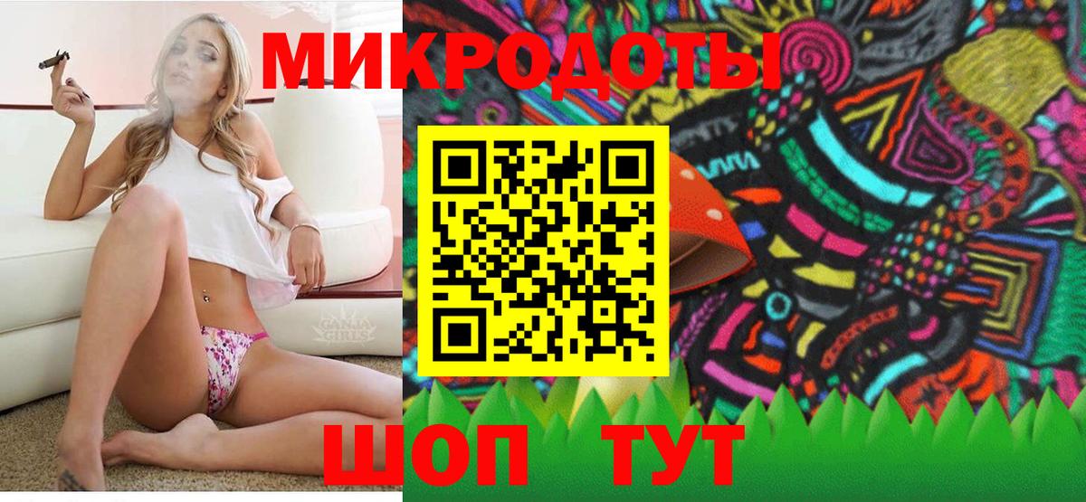 закладка  Кыштым  Галлюциногенные грибы Psilocybine cubensis 