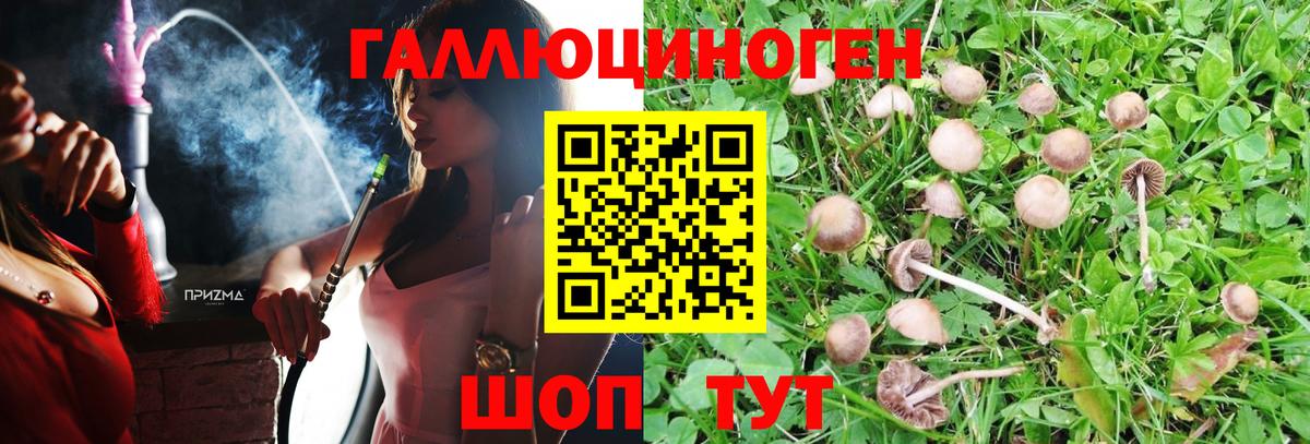 Кыштым  Псилоцибиновые грибы Magic Shrooms  Вход с VPN 